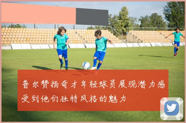 普尔赞扬奇才年轻球员展现潜力感受到他们独特风格的魅力