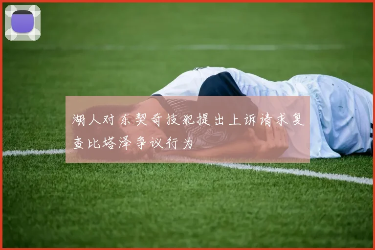 湖人对东契奇技犯提出上诉请求复查比塔泽争议行为