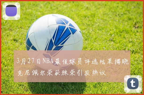 3月27日NBA最佳球员评选结果揭晓克尼佩尔荣获殊荣引发热议